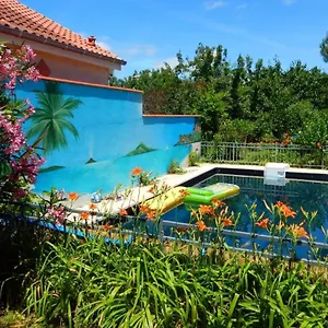 2 Et Salle De Bain Un Oasis De Bien Etre Piscine Et Jardin Direct Gare Aeroport Toulouse